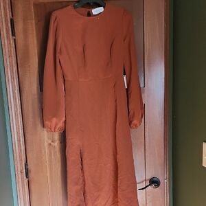 Painted Threads Terracotta Long Sleeve Dress